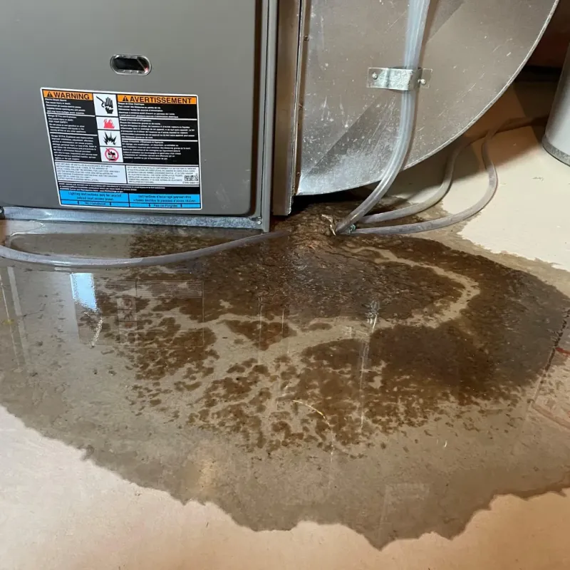 Appliance Leak Cleanup in Mustang, OK